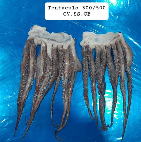 Peruvian Squid Tentacles
